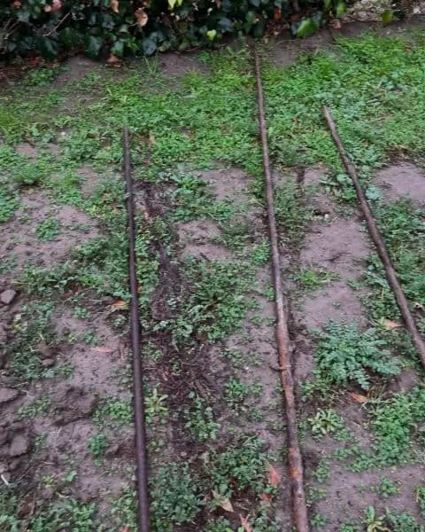 Garden soil with three metal rods and lush green grass surrounding them.