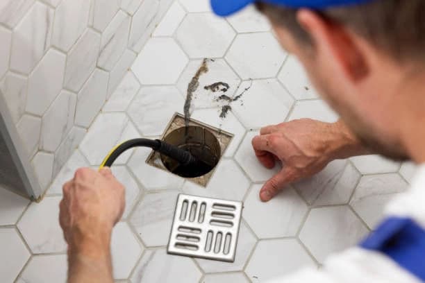 Blog post How Tree Roots Cause Drain Clogs and What Plumbers Do image