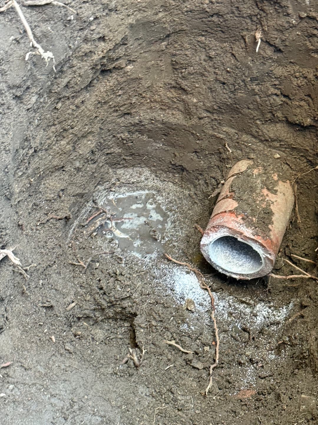 Broken clay pipe surrounded by dirt and roots with visible water pooling.